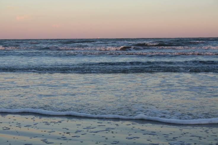 12307922_10208517034347818_1030199459053747266_o