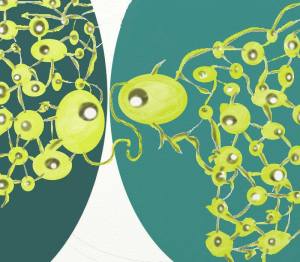 13592372_10210401251692074_1280300063845410257_n