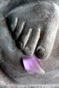 25478_1432550538223_4074496_n