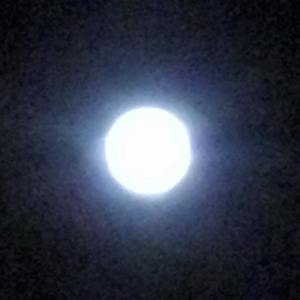 13051508_10207317632472918_2763420020755038432_n