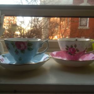 16602496_10212579726112573_3915119891658677020_o