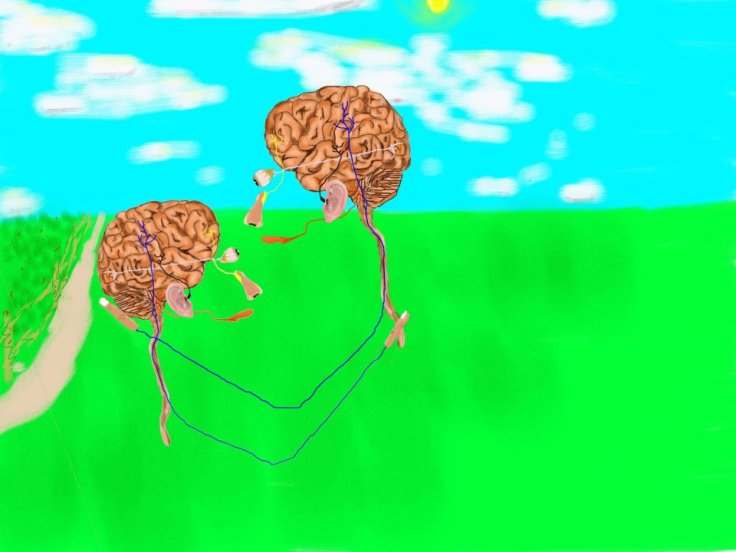 390193_2613027494773_1345034838_n