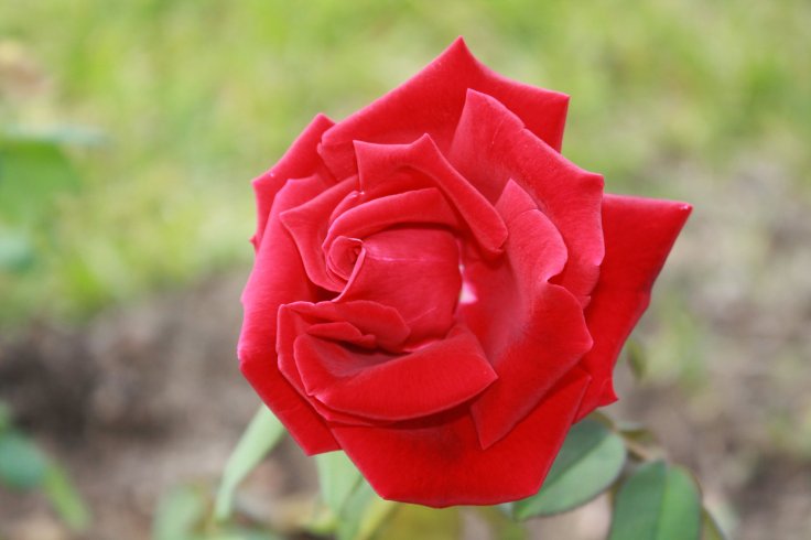 55634_1671142422871_5883986_o