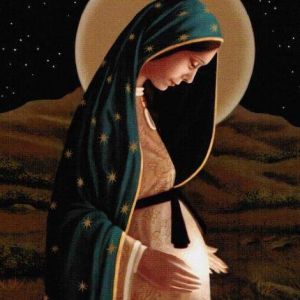 e4badf40cafce58ce0bbe6d698d7eeed---in-one-perfect-image