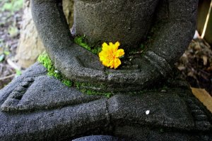 31710_1491909222153_433903_n