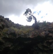 11334186_10204265239339423_3488912735873502839_o-e1455815000889-188x190