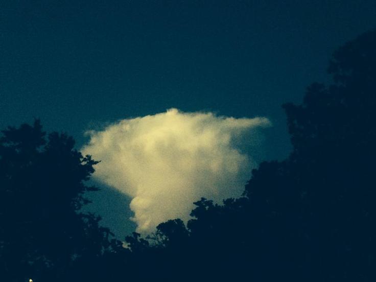 10502191_10202902047606056_5204383287399948864_n