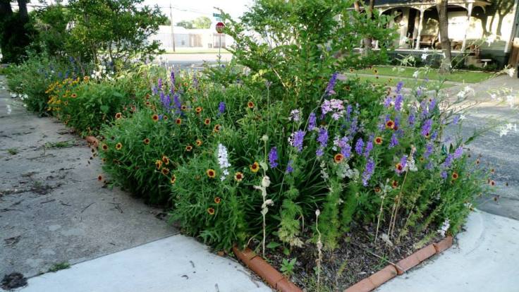 11351146_10205420239558290_8508420906694693647_n