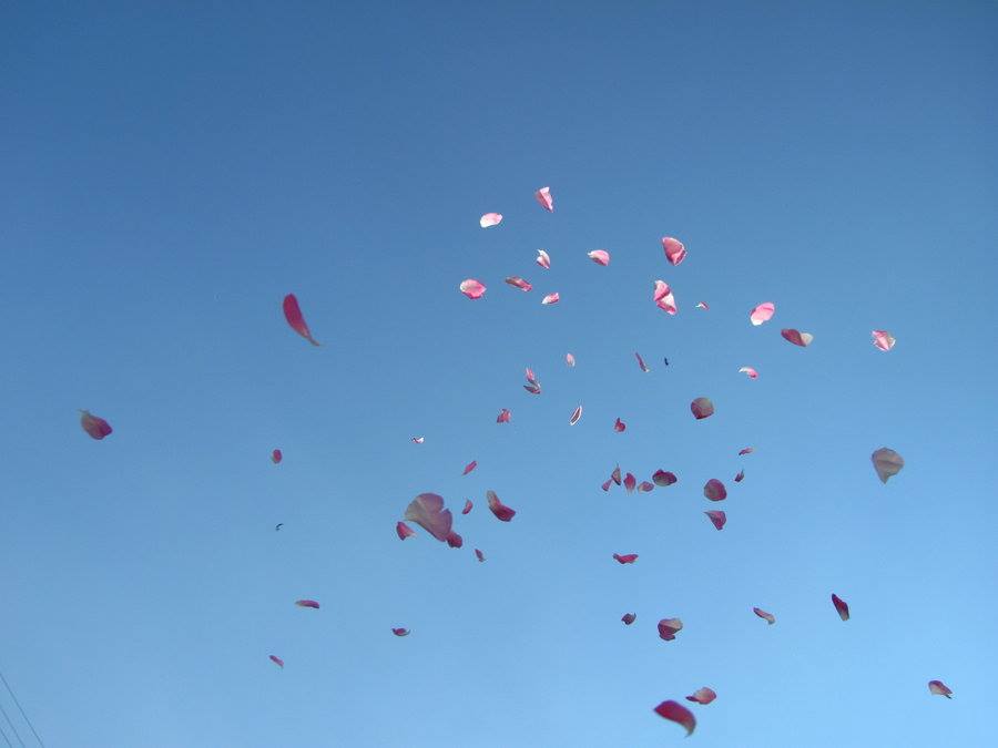 22448644_10214991072474725_4256282421743152214_n