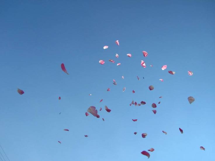 22448644_10214991072474725_4256282421743152214_n