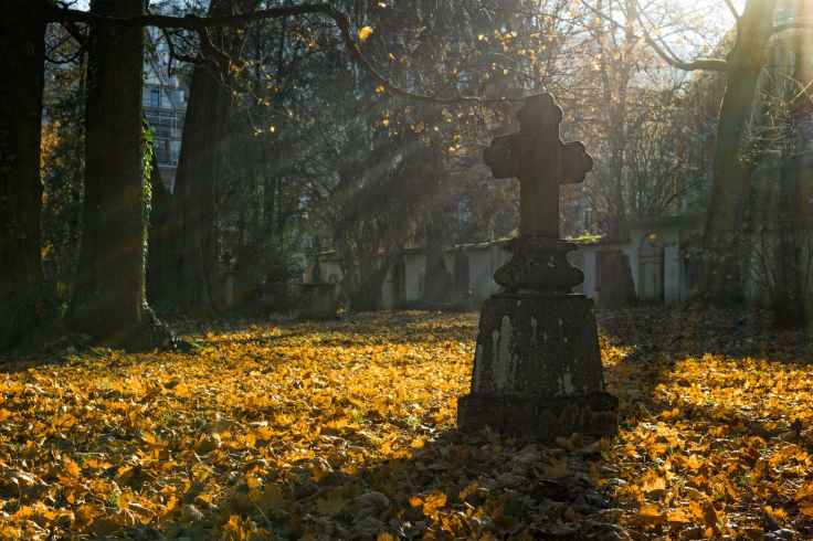 branches cemetery cross daylight