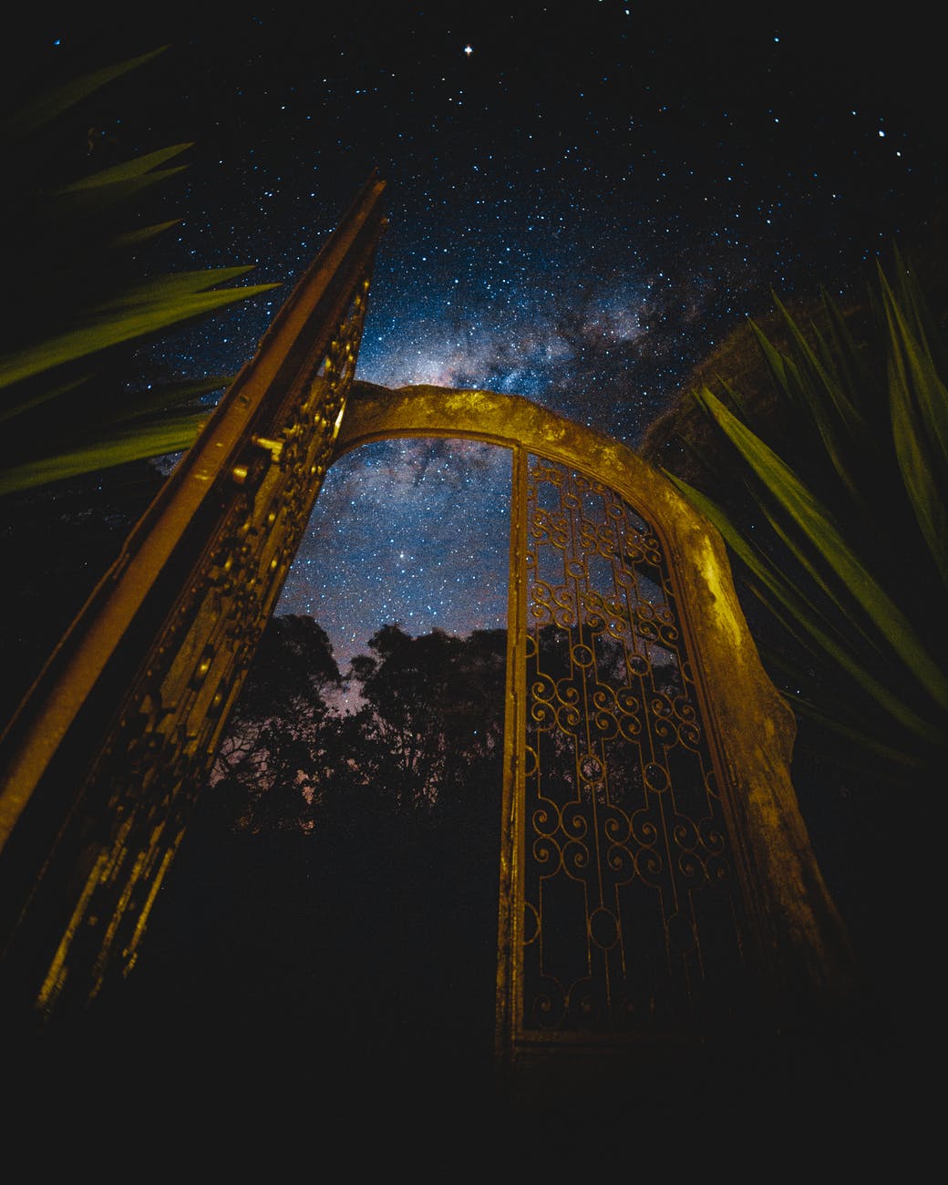 low angle photography of golden gate during evening